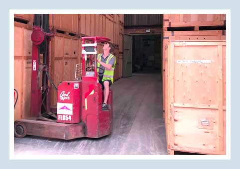 GoodMove Forklift Driver