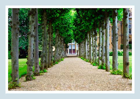 Stevenage Gardens